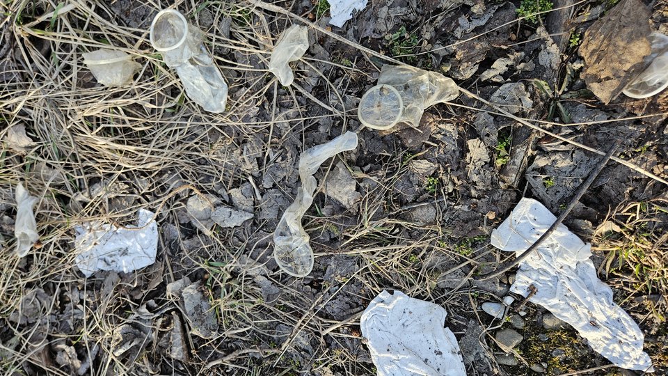 1000050196.jpg - nowytomas