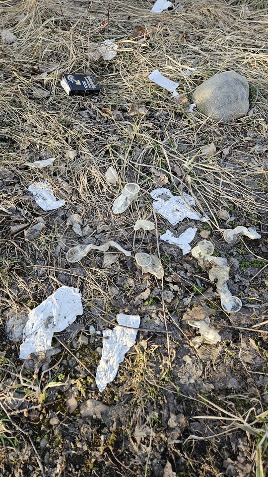 1000050194.jpg - nowytomas