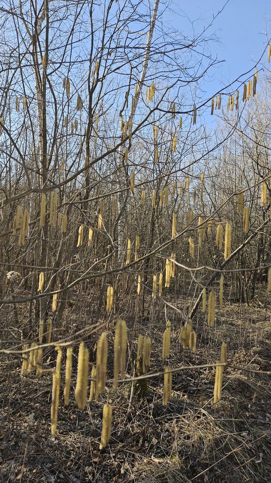 Stadła 5.03.2026 - nowytomas