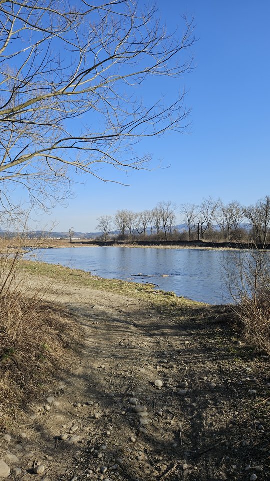 Stadła 5.03.2026 - nowytomas