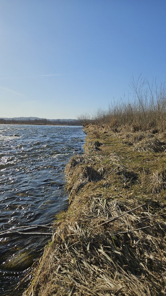 Stadła 5.03.2026 - nowytomas