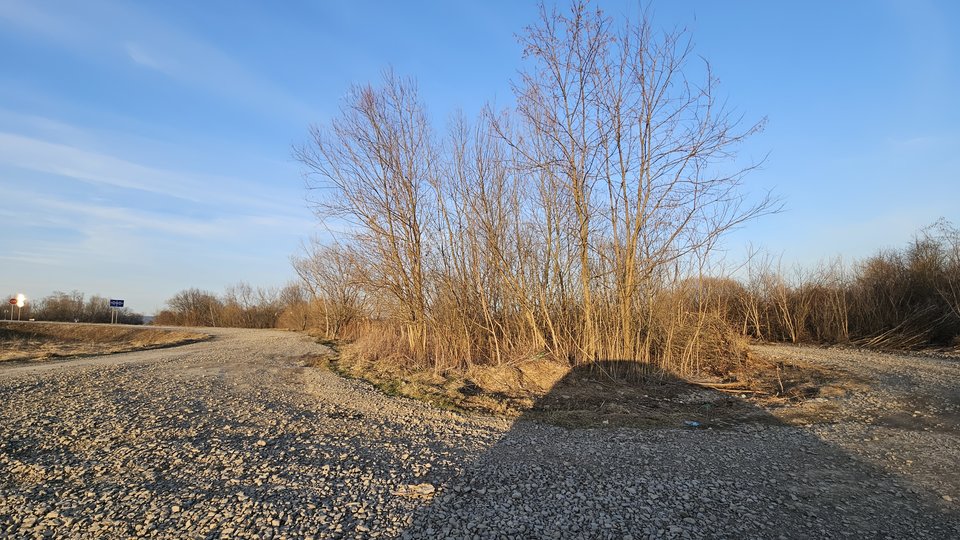 Stadła 5.03.2026 - nowytomas