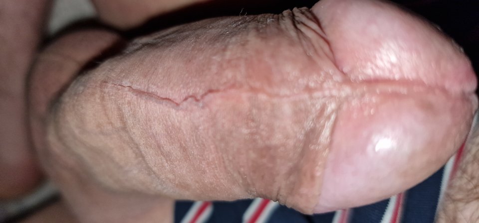 1772770002535838409066158855605.jpg - robin266