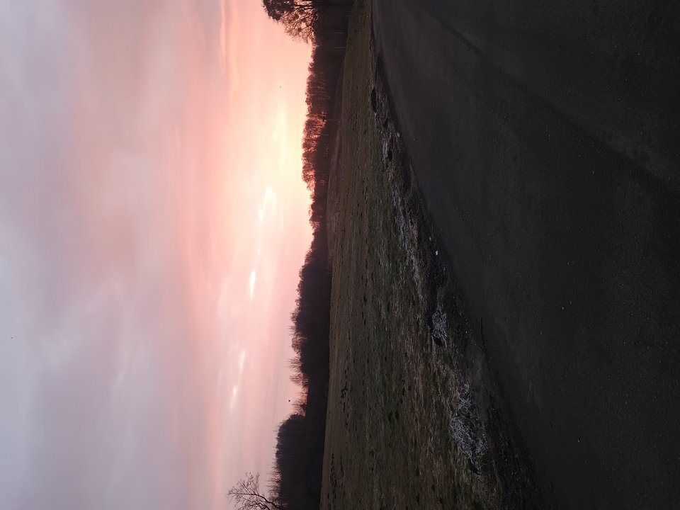 1000009903.jpg - Nissan1974