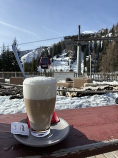 IMG_0631.jpeg