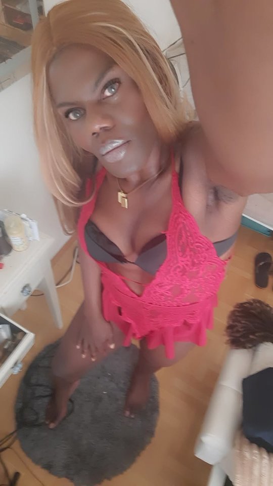 Snapchat-1198641153.jpg - OniJegoTrans