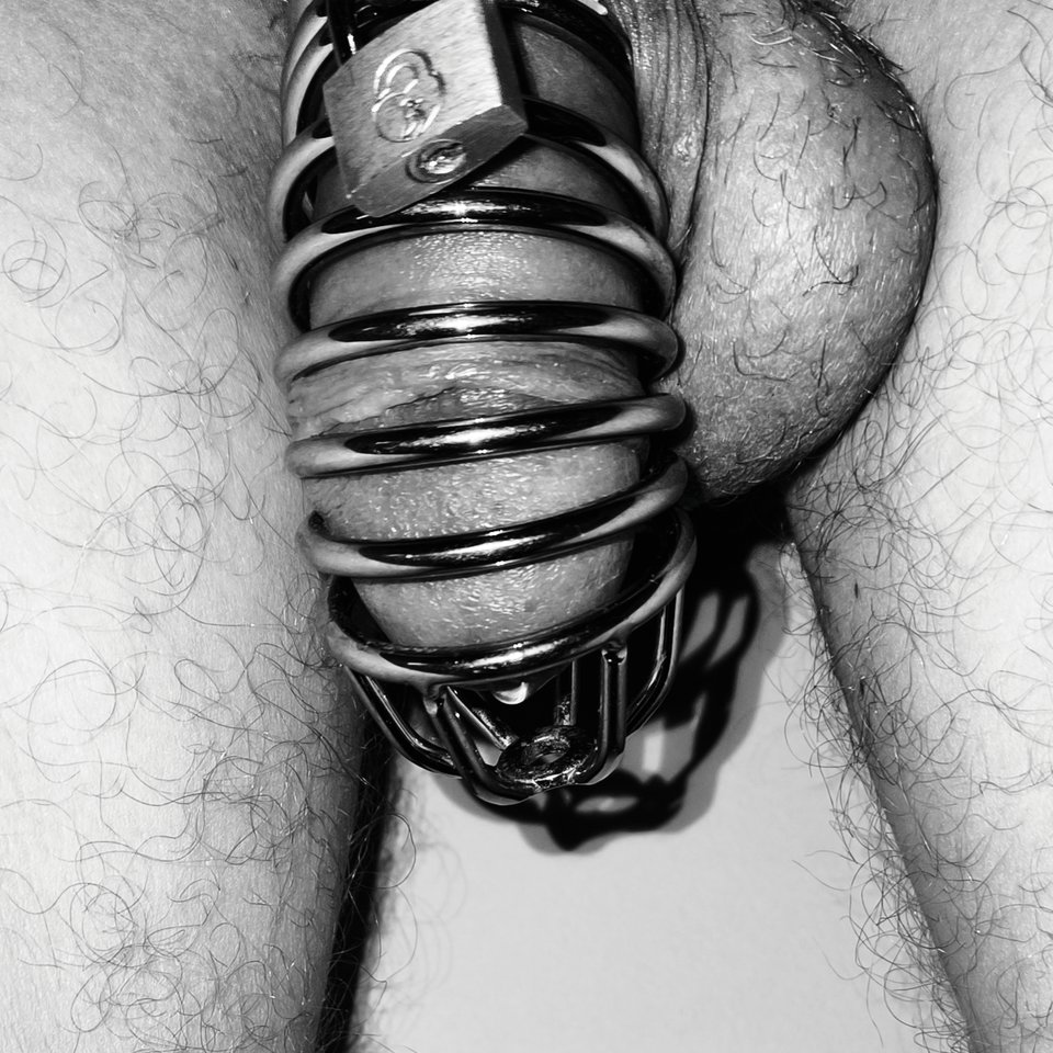 1000008624.jpg - d_ave_