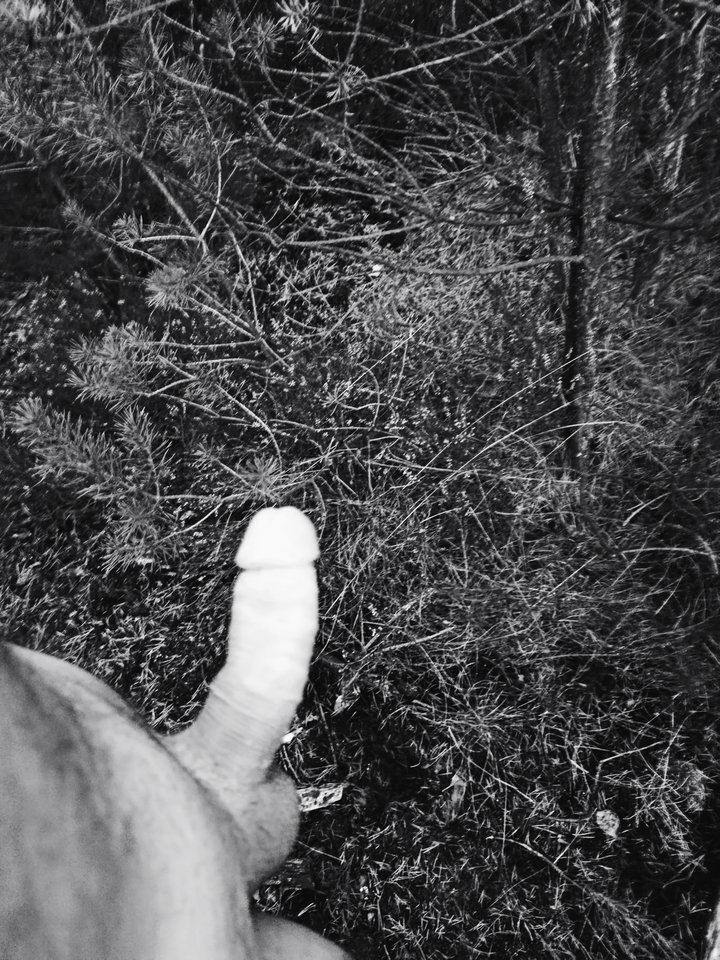 1000005860.jpg - Sksus