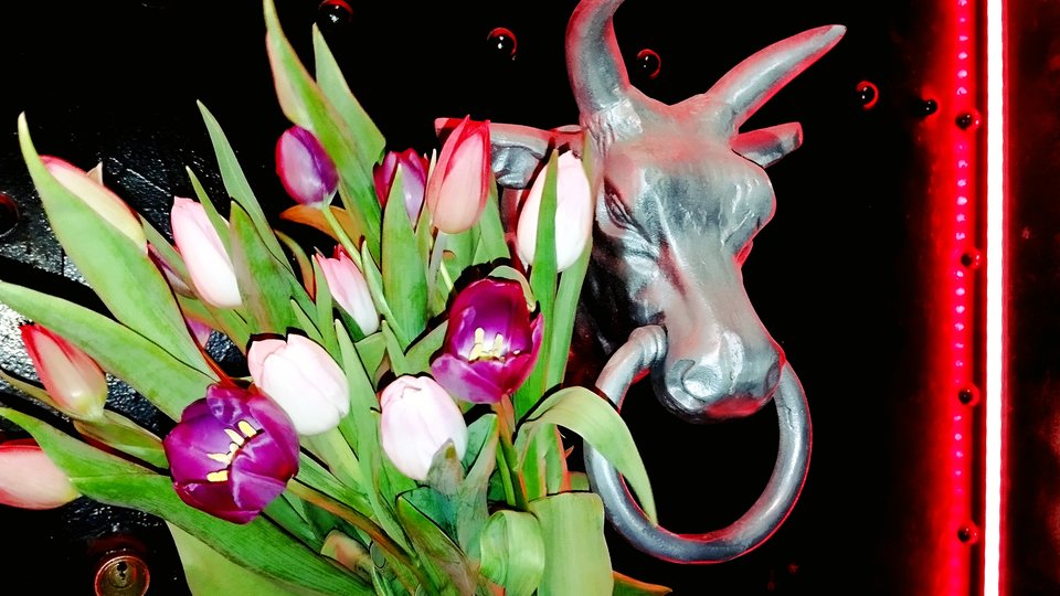 IMG_20260307_022249.jpg - Club_Bordeaux__