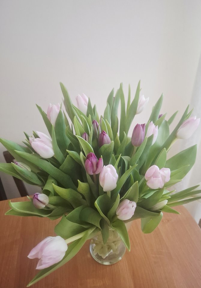 1000048750.jpg - MlodaSukaDla2LubKilku