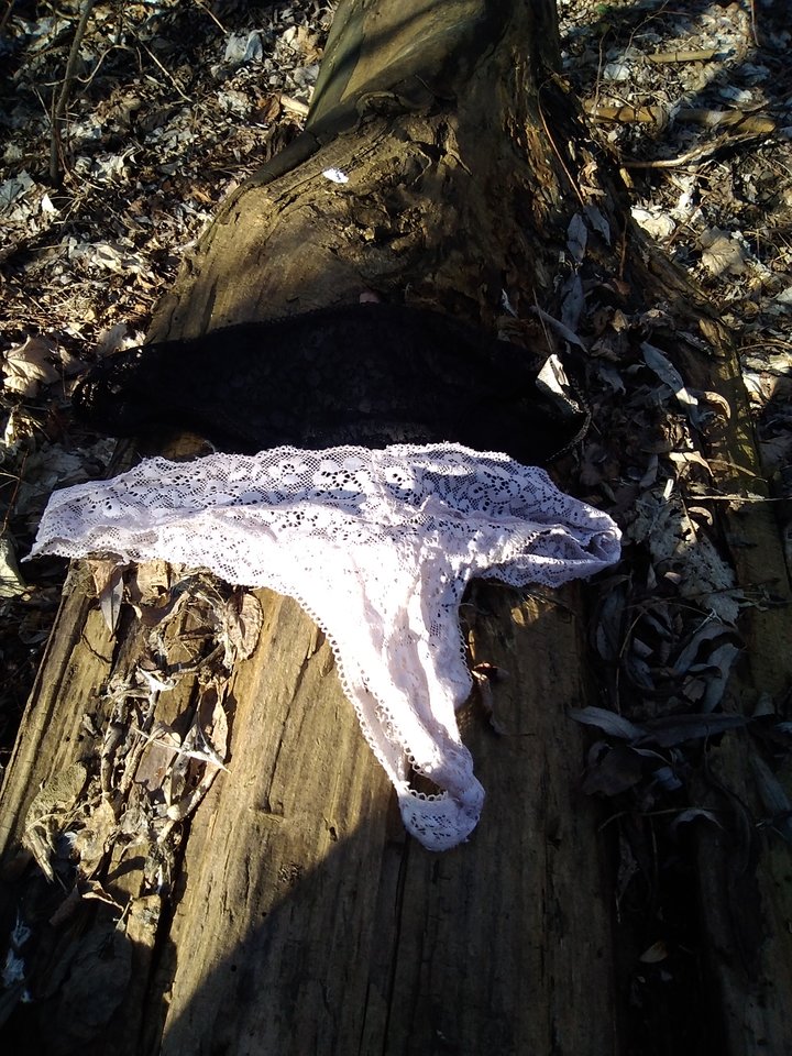 IMG_20260307_141631.jpg - Lukasz43swi