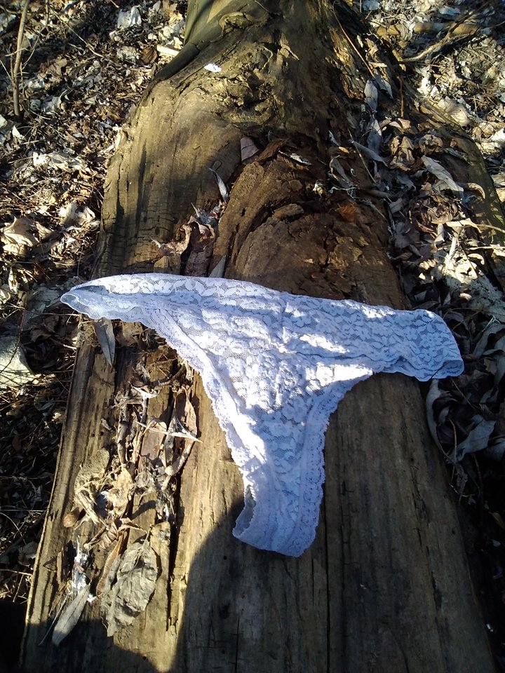 IMG_20260307_141804.jpg - Lukasz43swi