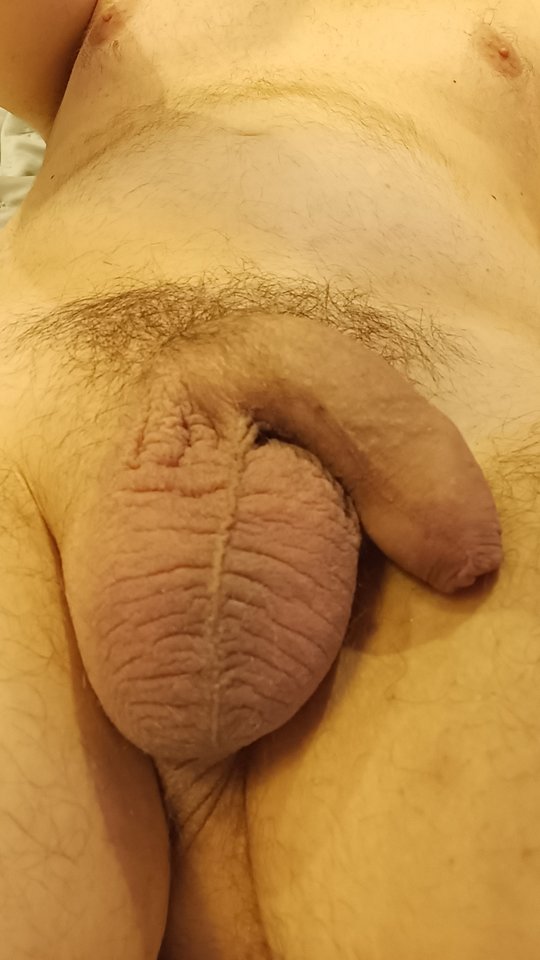 1000022641.jpg - hauh