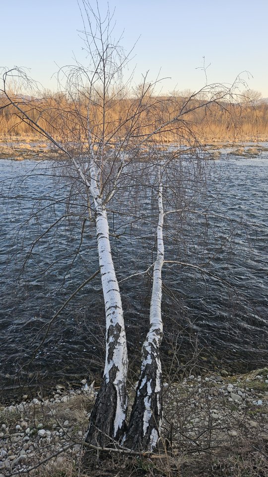 Stadła 7.03.2026 - nowytomas