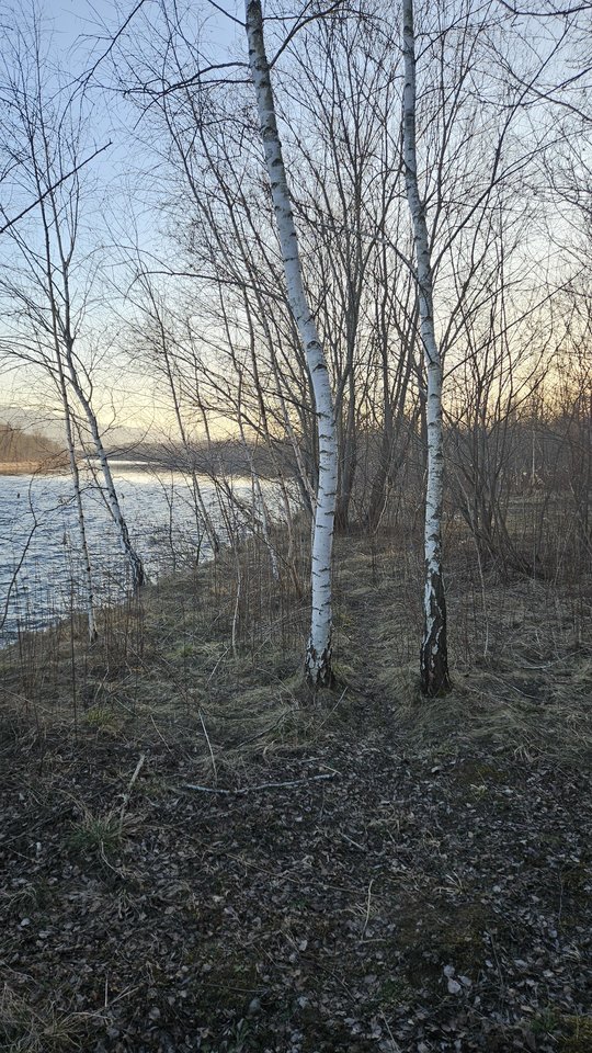 Stadła 7.03.2026 - nowytomas