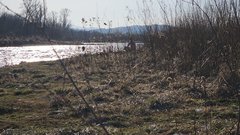 Sezon na nagie opalanie otwarty 7.03.2026