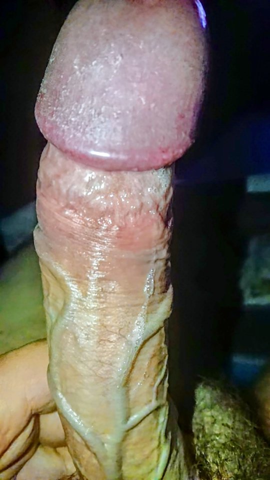 13403.jpg - Falcon96