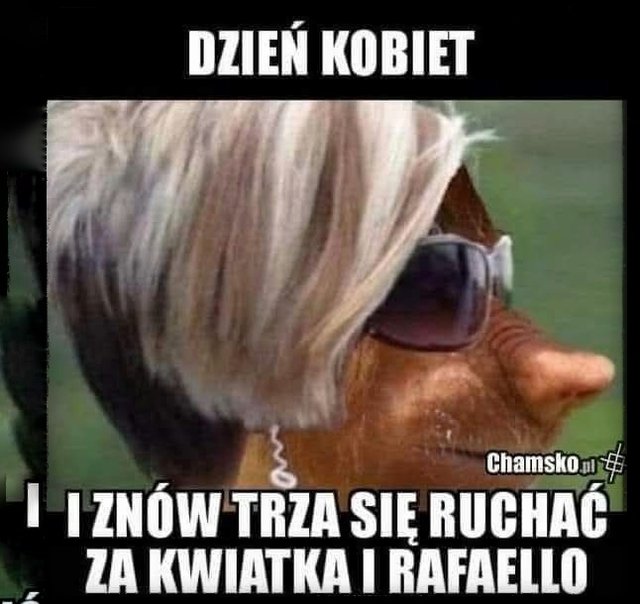 1000028390.jpg - Vviolusia