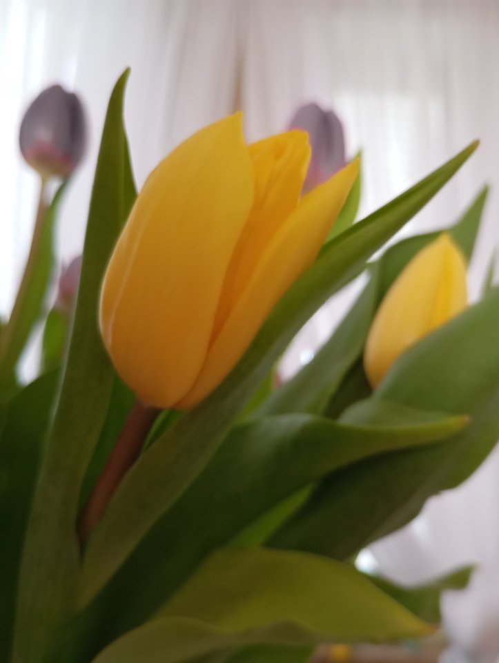 Wszystkiego najlepszego drogie Panie ♥️♥️♥️ - Exsperymentator