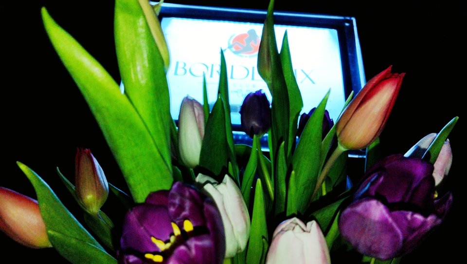 IMG_20260308_112107.jpg - Club_Bordeaux__