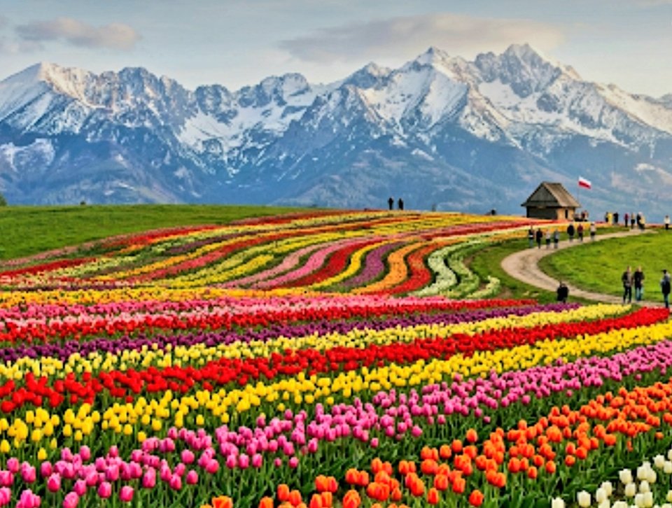 1000052809.jpg - Zlotaraczka92