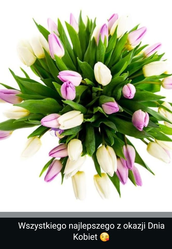 1000131409.jpg - Rob2025