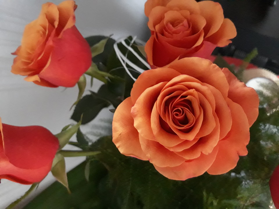 20171225_111841.jpg - HMen1