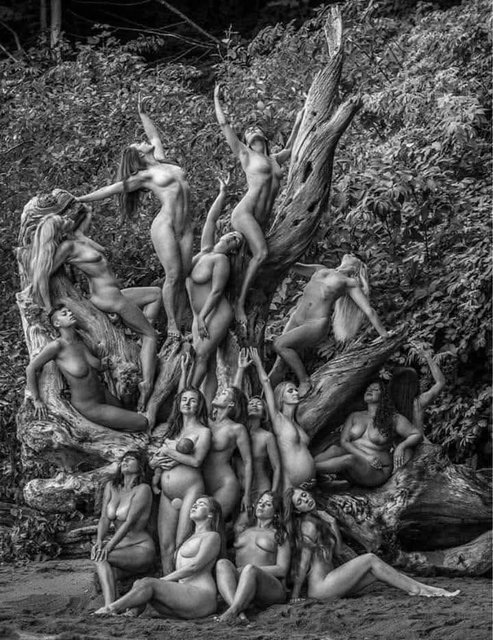 33574.jpg - Liligrow