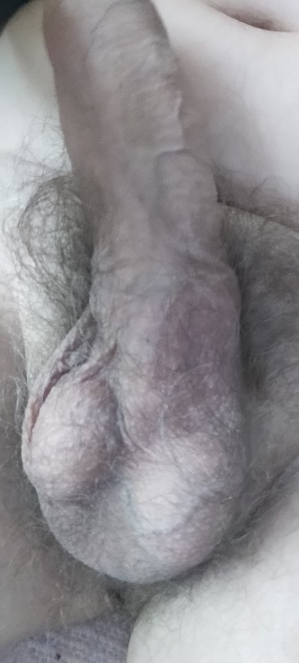 1000003930.jpg - XMiko77