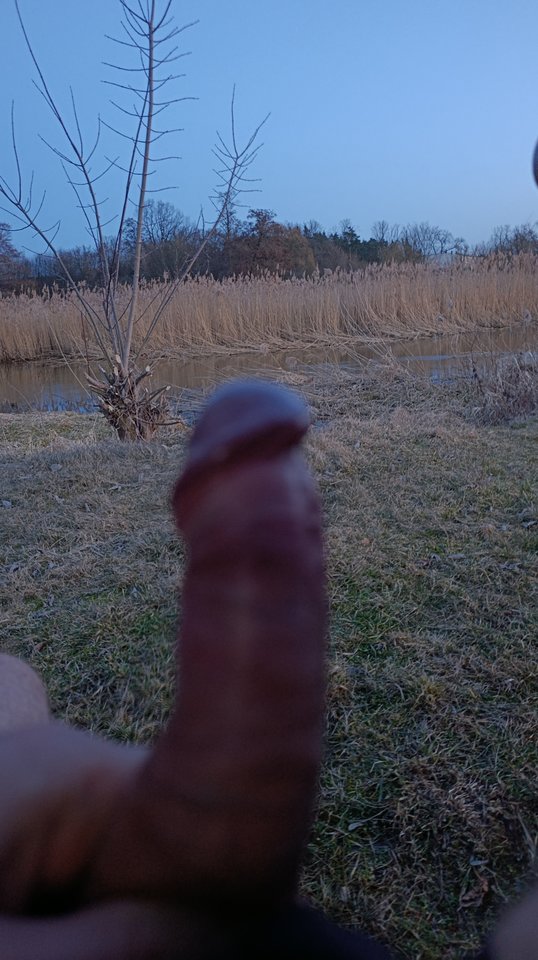 1000021652.jpg - Publico1