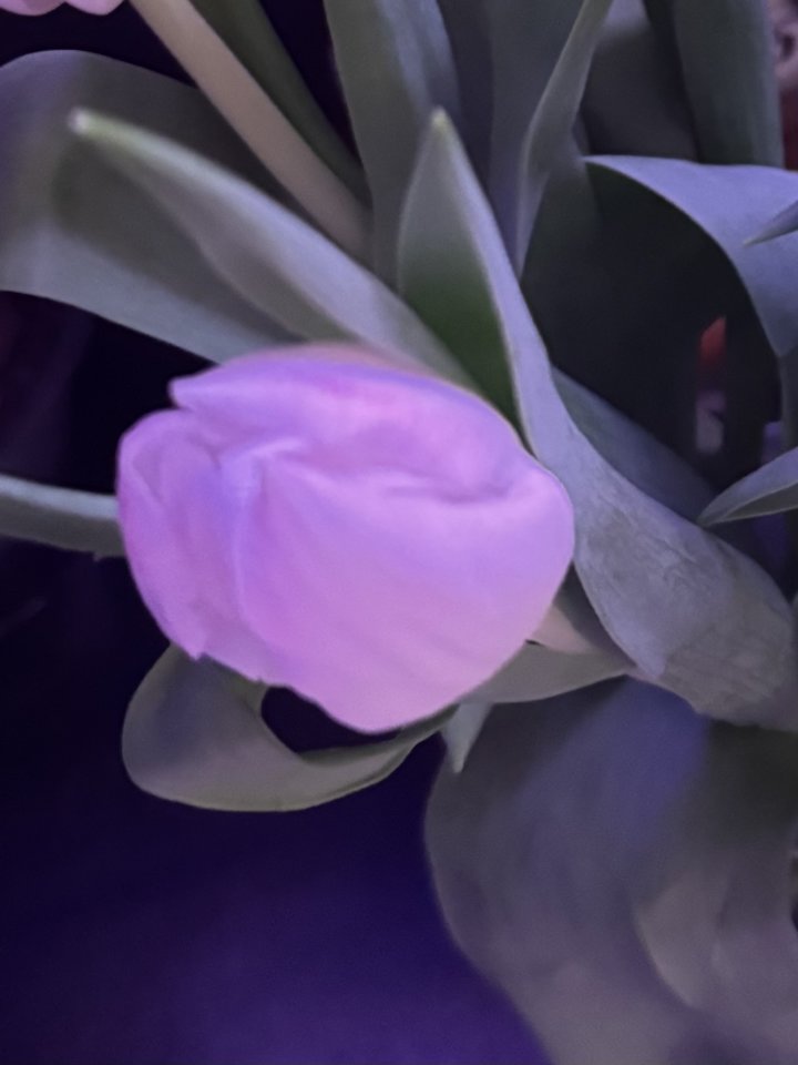 IMG_1029.jpeg - zwyczajni_86