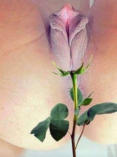 Wszystkiego Najlepszego wszystkie Kobietki 💋💋👅💐