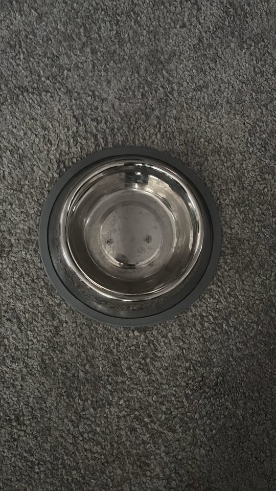 1000013046.jpg - mrsub