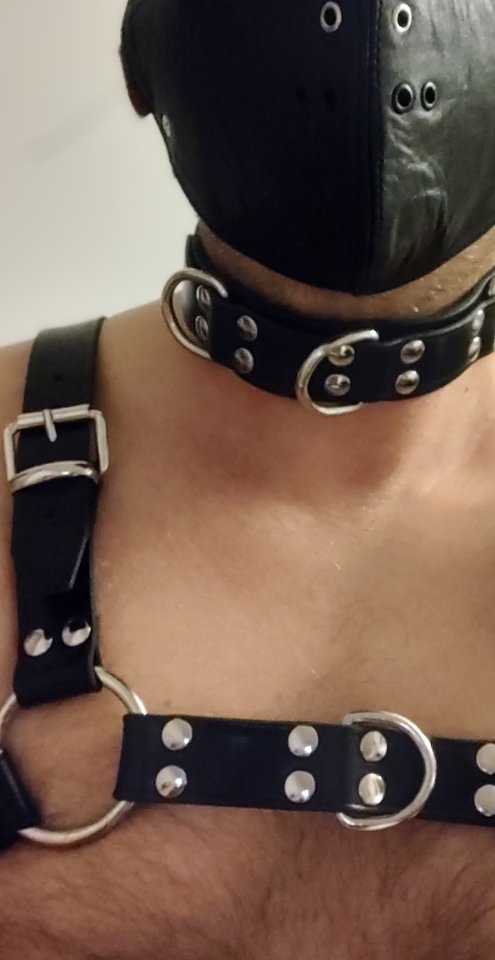 1000012393.jpg - mrsub