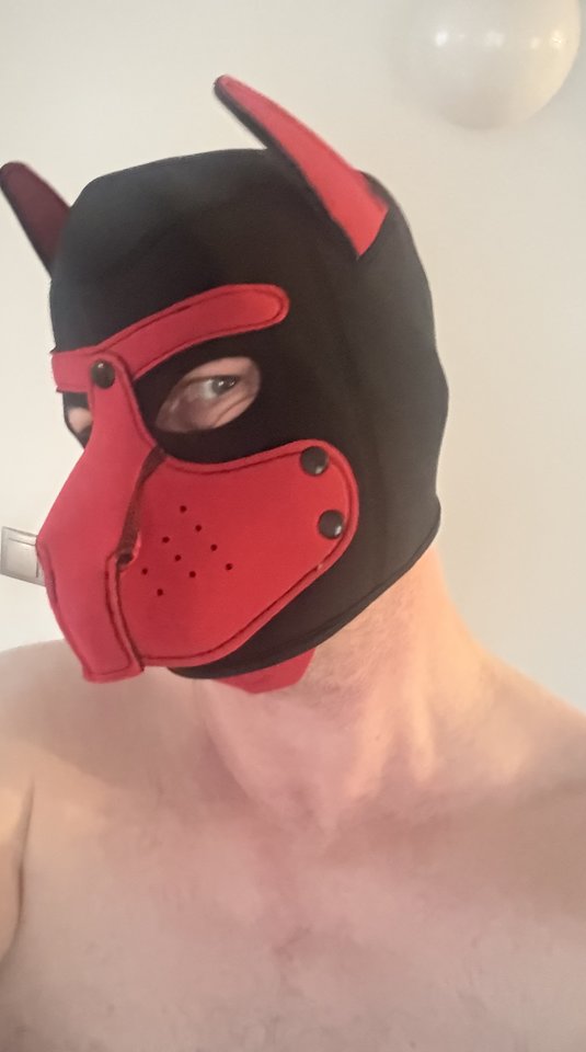 1000015927.jpg - mrsub