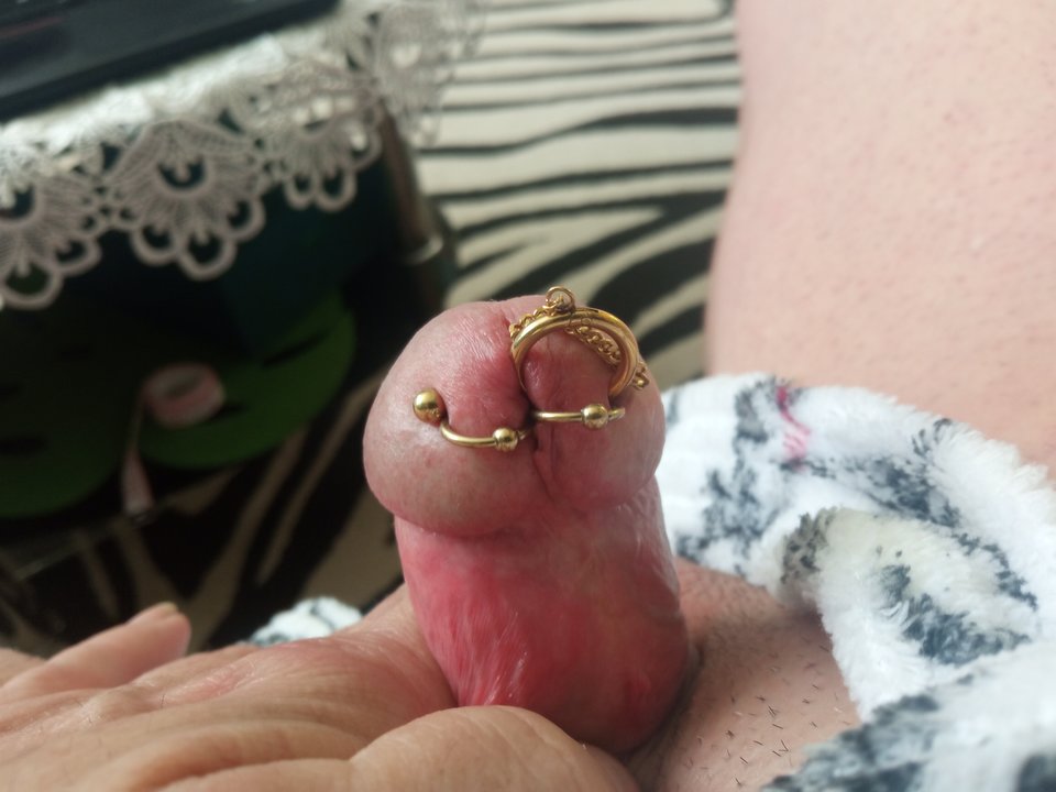 IMG_20260309_075948[1].jpg - nagaania