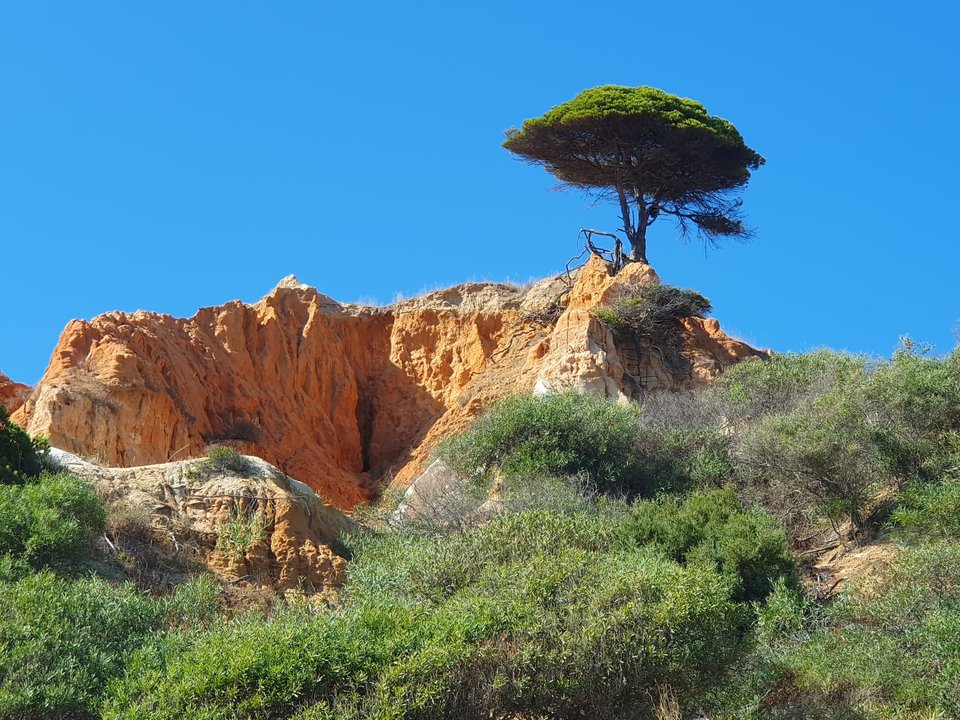 1000013043.jpg - Art1974S