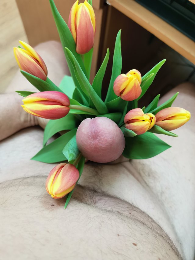 maxtor66