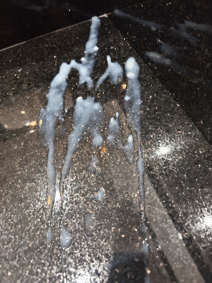 1000048939.jpg - normalny3