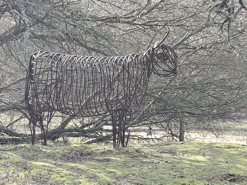 1000017418.jpg - Darco49