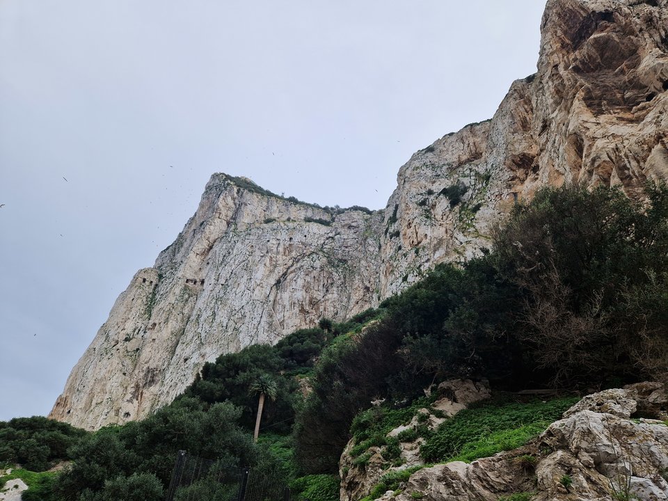 1000006483.jpg - Darco49