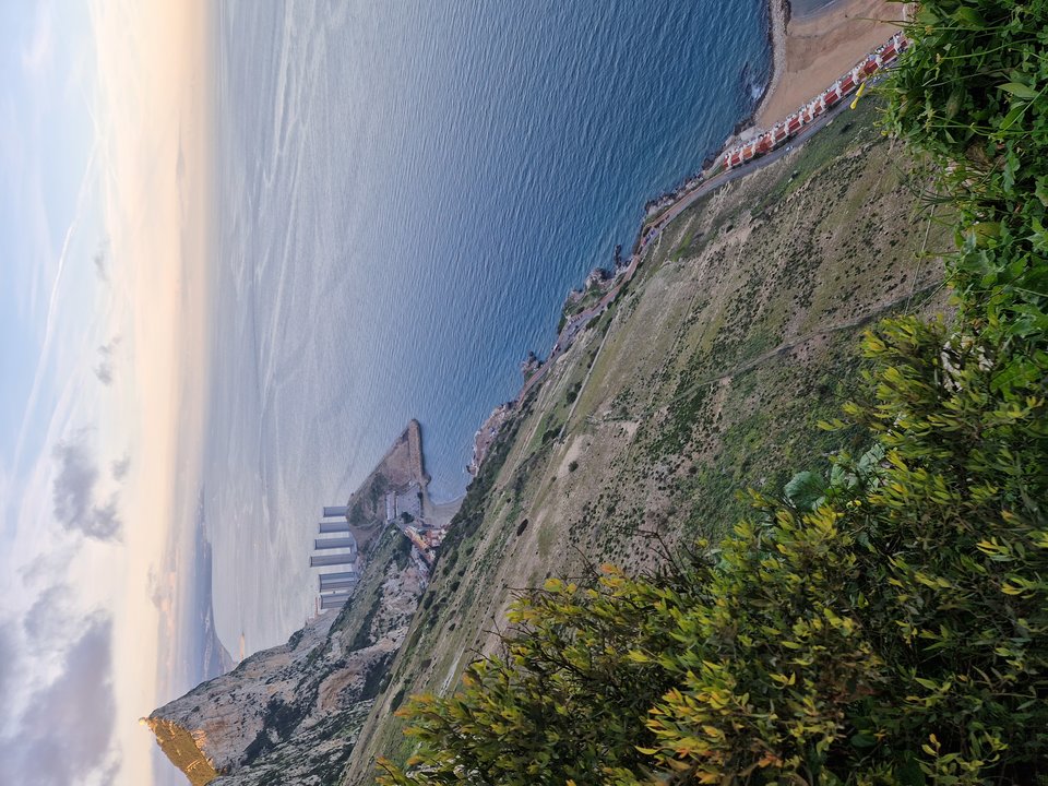 1000006399.jpg - Darco49