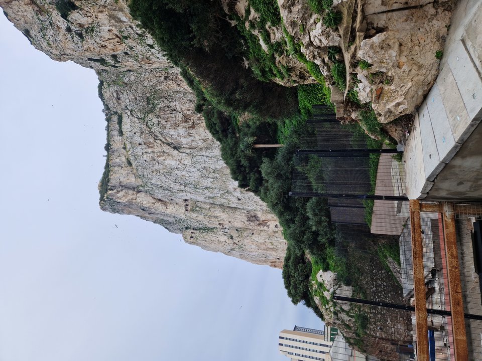 1000006484.jpg - Darco49