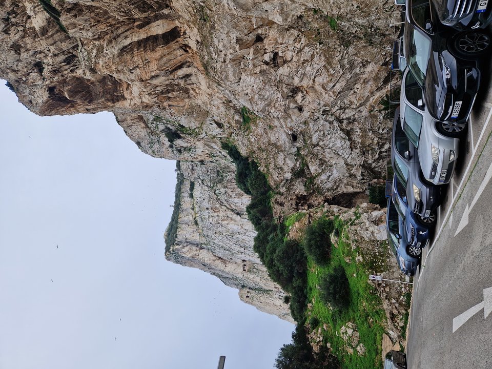 1000006482.jpg - Darco49