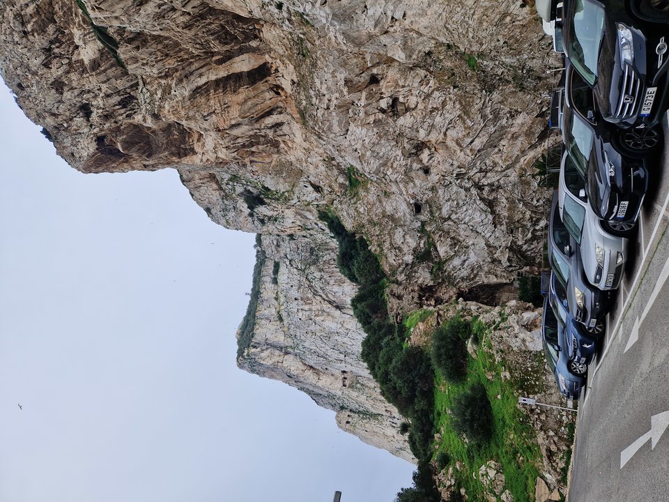 1000006479.jpg - Darco49