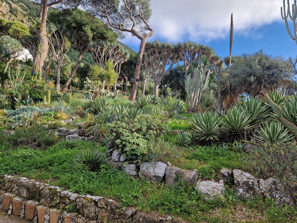 1000006377.jpg - Darco49