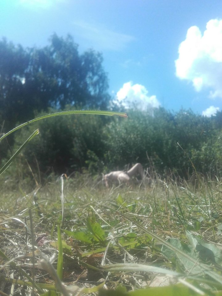 20180806_100628.jpg - lovkind