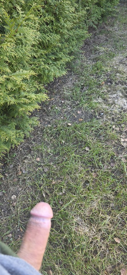 20260310_113126.jpg - kubotar