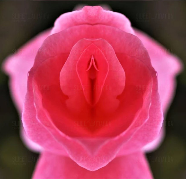 260310.JPG - Sweet_Amanda