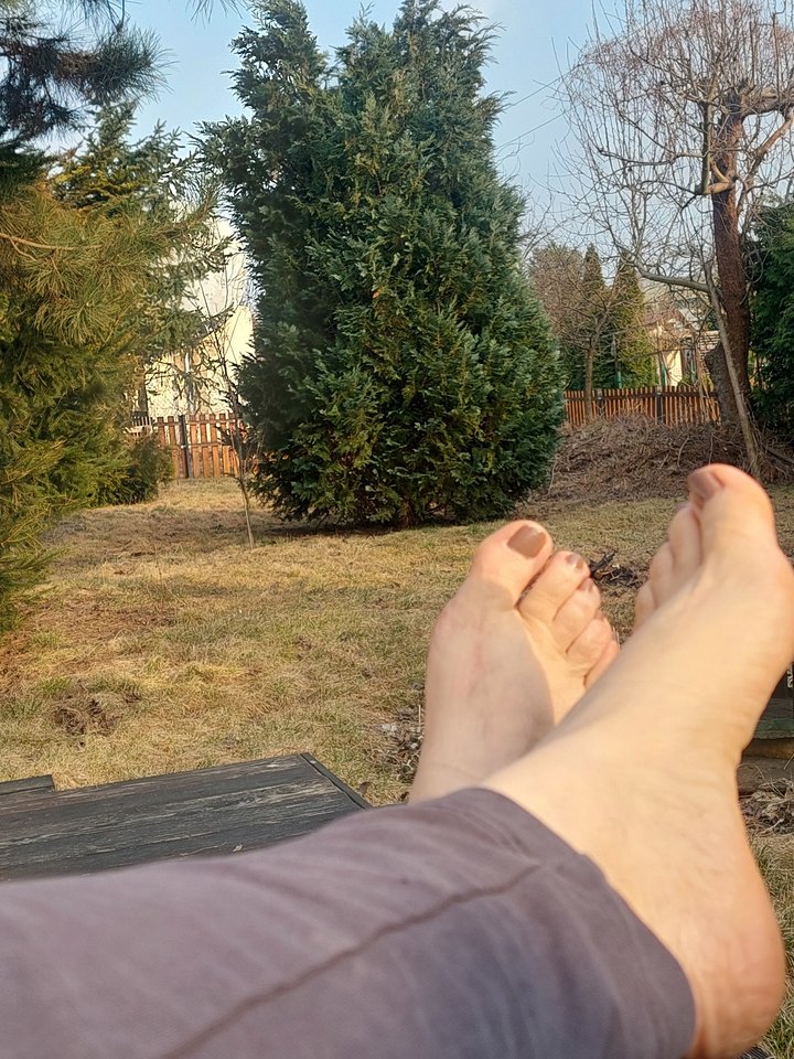 1000061775.jpg - Wredotaa